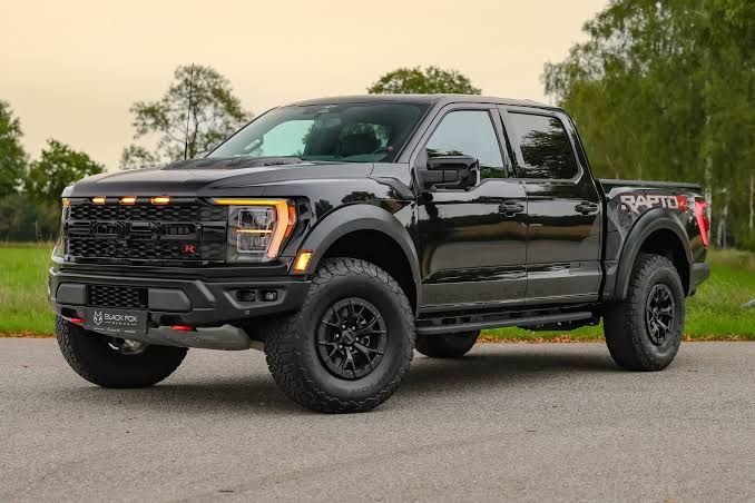 Ford F-150 Raptor with off road brush guard and heavy duty front bumper
